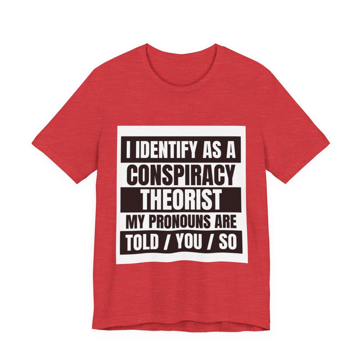 Conspiracy Theorist Tee, Funny Graphic T-Shirt, Unisex Short Sleeve, Humorous Gift, Casual Wear, Unique Statement Shirt
