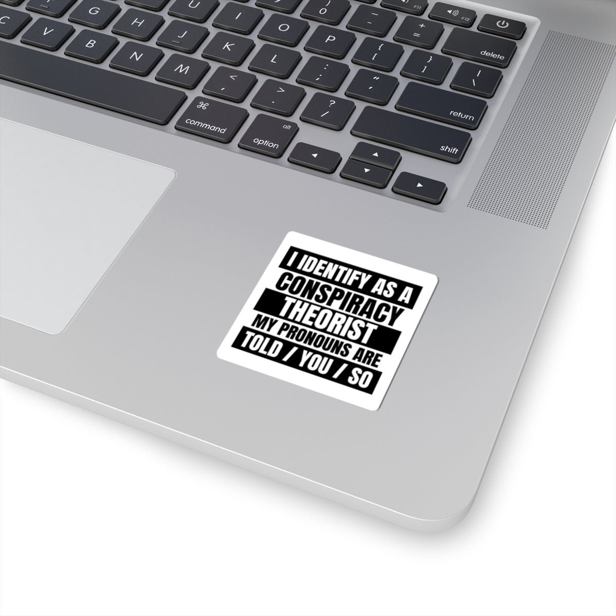 Funny Conspiracy Theorist Stickers, Laptop Decals, Unique Gift for Friends, Quirky Home Decor, Statement Wall Art
