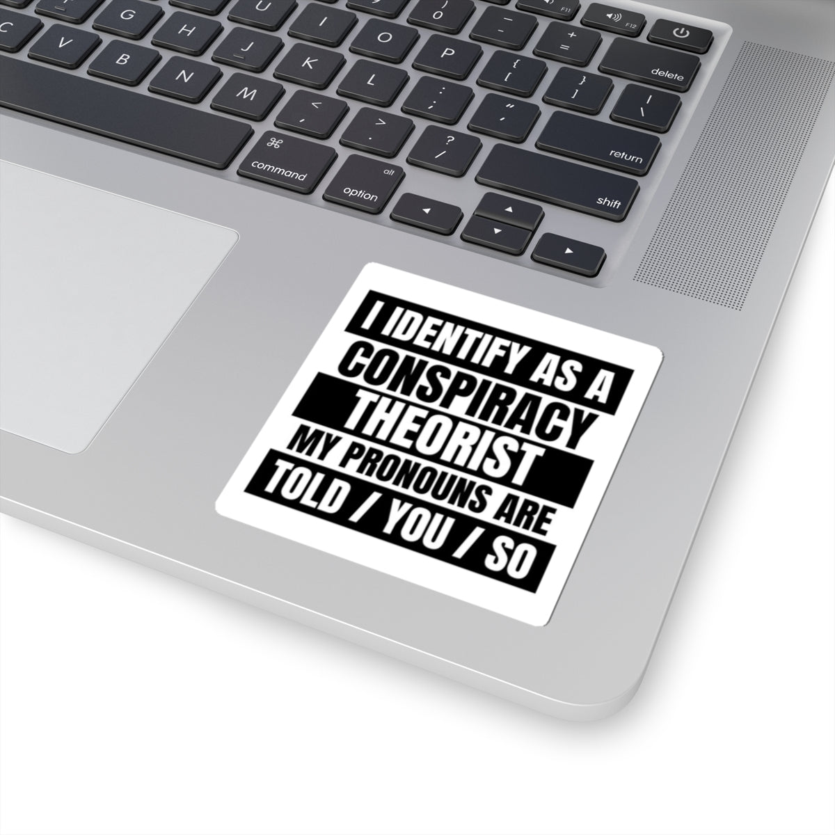 Funny Conspiracy Theorist Stickers, Laptop Decals, Unique Gift for Friends, Quirky Home Decor, Statement Wall Art