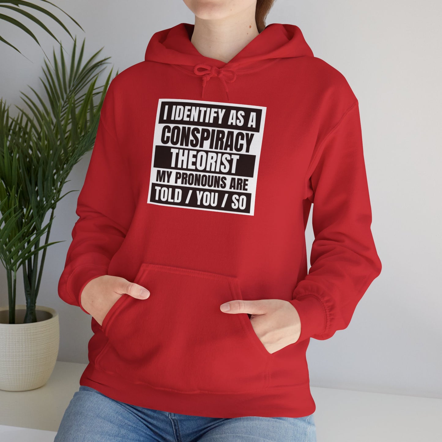 Funny Conspiracy Theorist Hoodie | Russian Roulette | I Identify As A Conspiracy Theorist