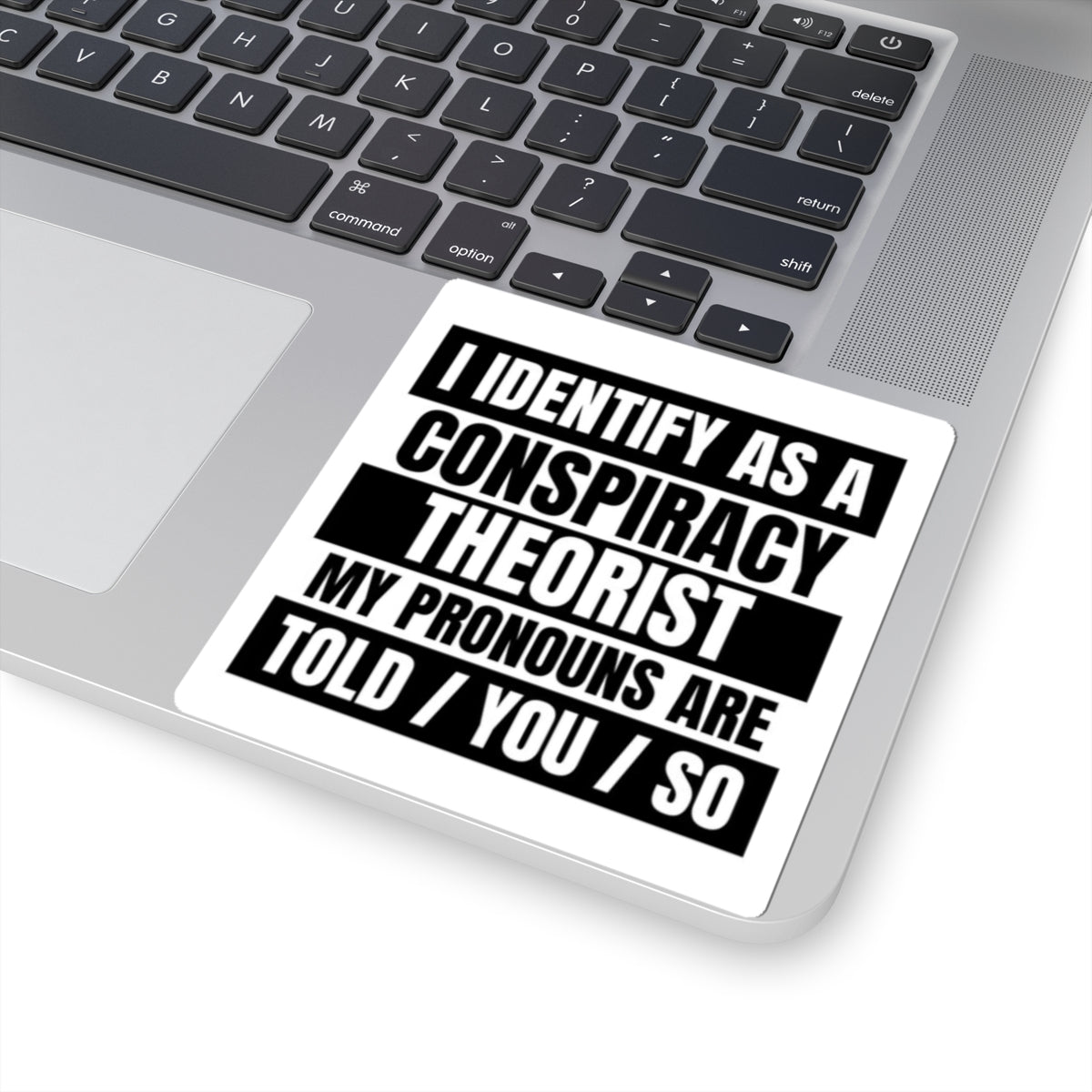 Funny Conspiracy Theorist Stickers, Laptop Decals, Unique Gift for Friends, Quirky Home Decor, Statement Wall Art