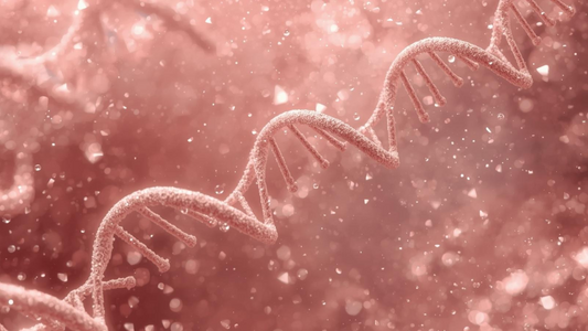 Why Palestinians Are Genetically Closer to Ancient Judahites Than Modern Jews