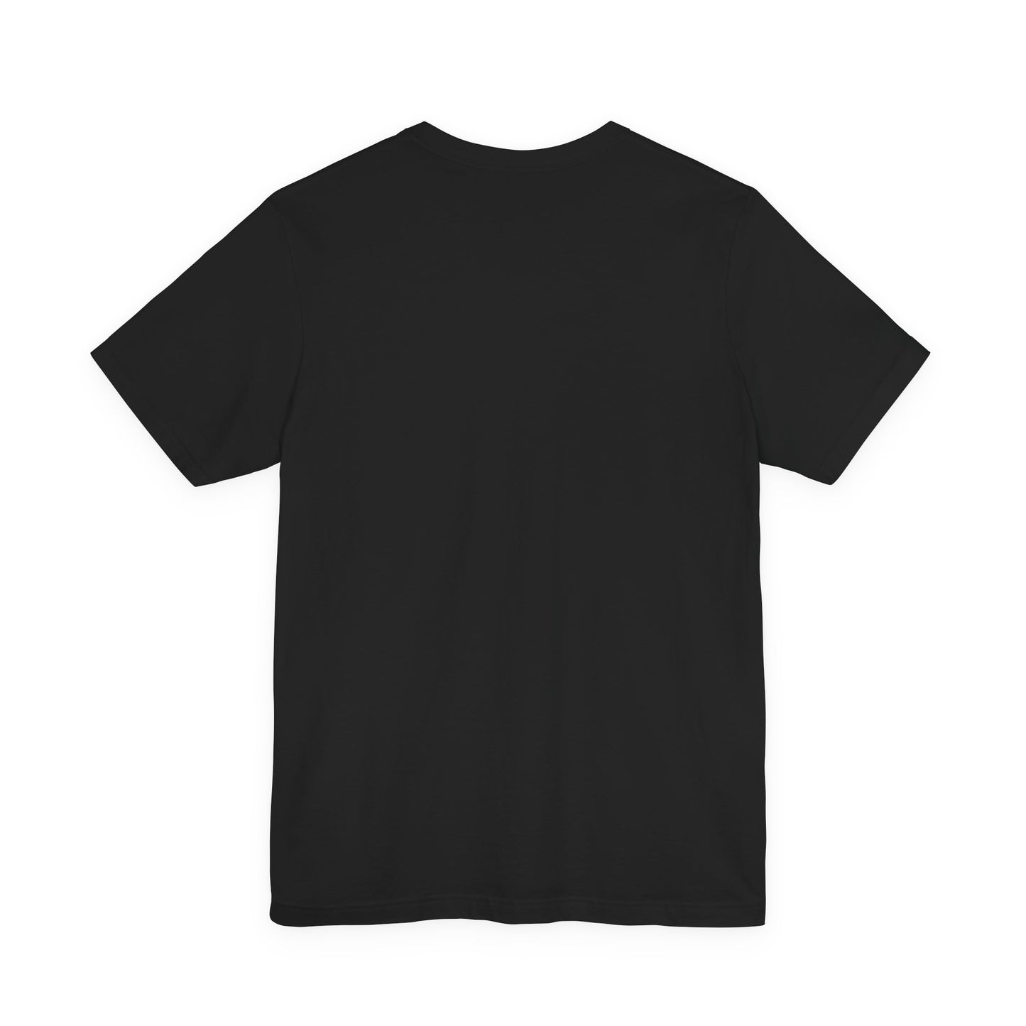 Conspiracy Theorist Tee, Funny Graphic T-Shirt, Unisex Short Sleeve, Humorous Gift, Casual Wear, Unique Statement Shirt
