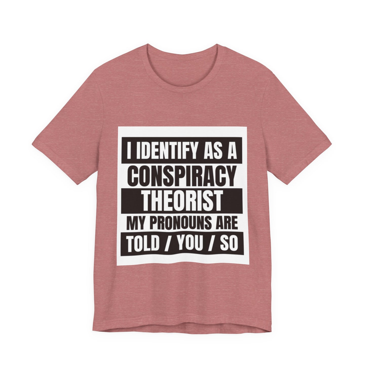 Conspiracy Theorist Tee, Funny Graphic T-Shirt, Unisex Short Sleeve, Humorous Gift, Casual Wear, Unique Statement Shirt
